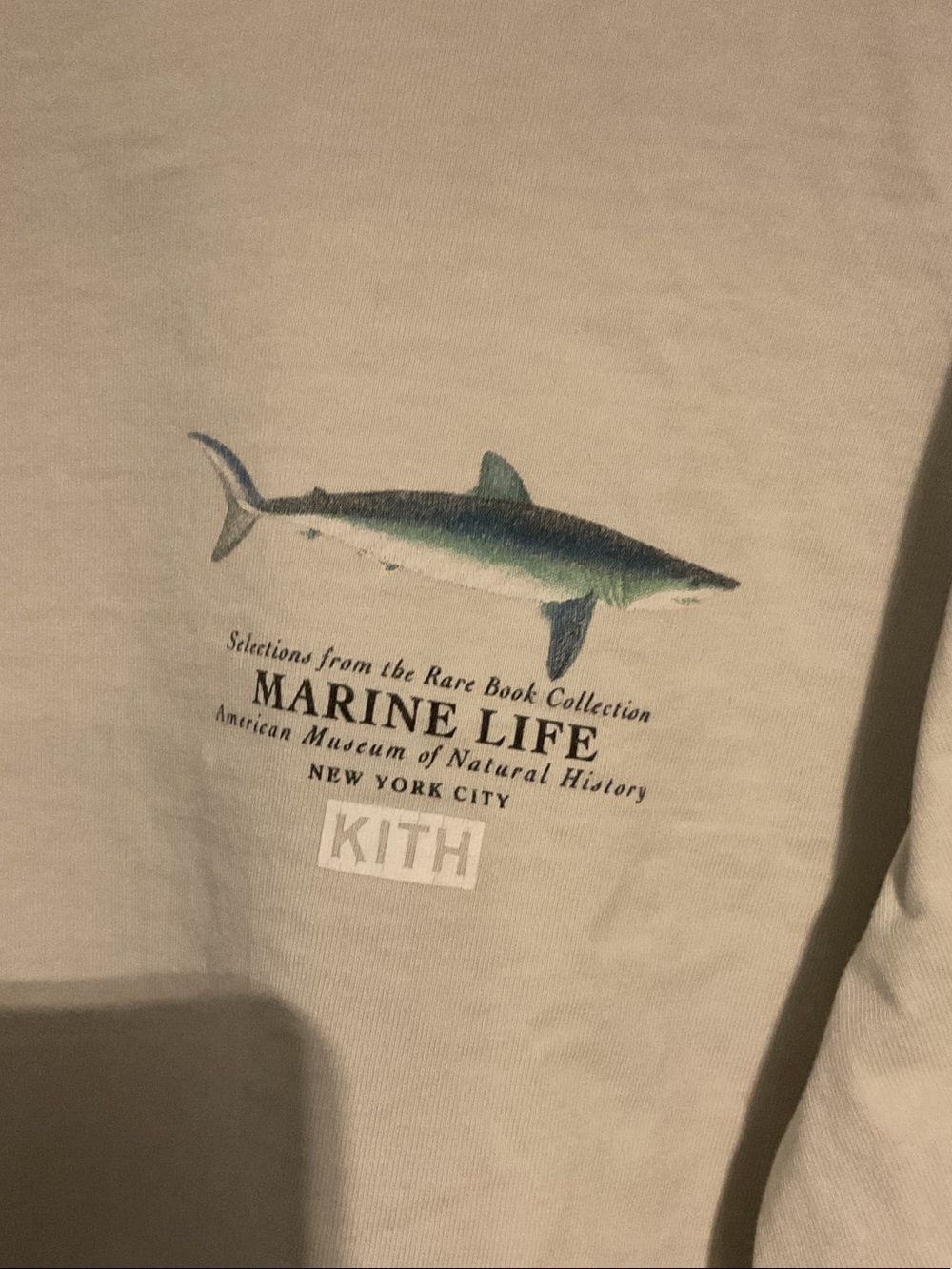 Kith Light Gray Long Sleeve Crewneck with Marlin Graphic - Picture 3 of 3